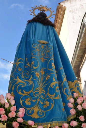 dsc 0314